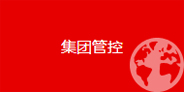 集團管控